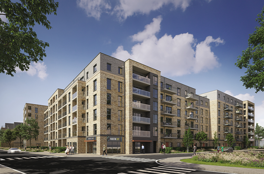 Nest Kingston
