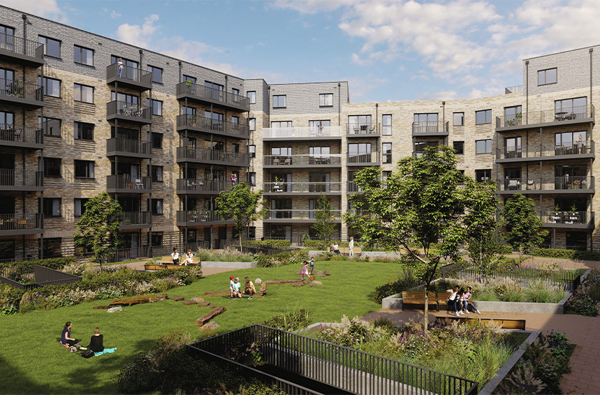 Nest Kingston