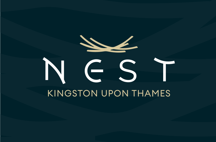 Nest Kingston