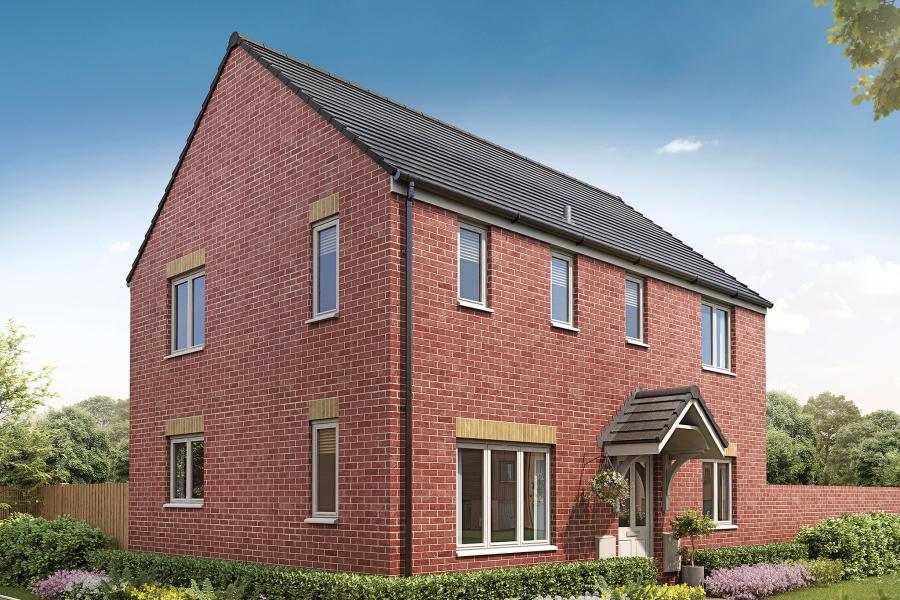 Bradley Barton View