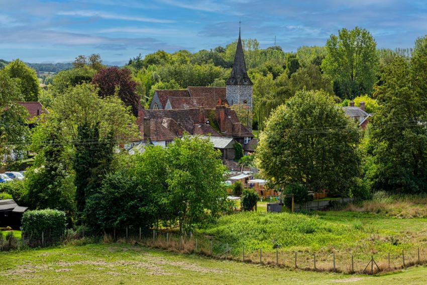 Orchard Meadows