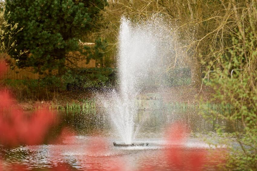 Sonnet Park