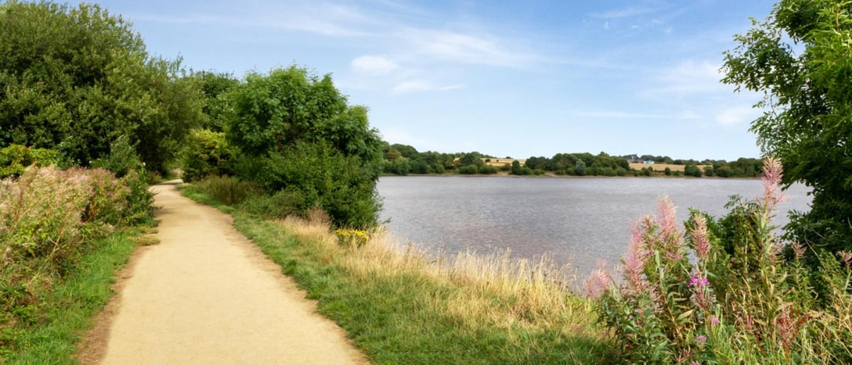 Meadow Vale
