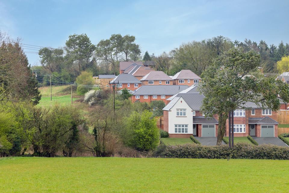 Silverbrook Meadow Webheath