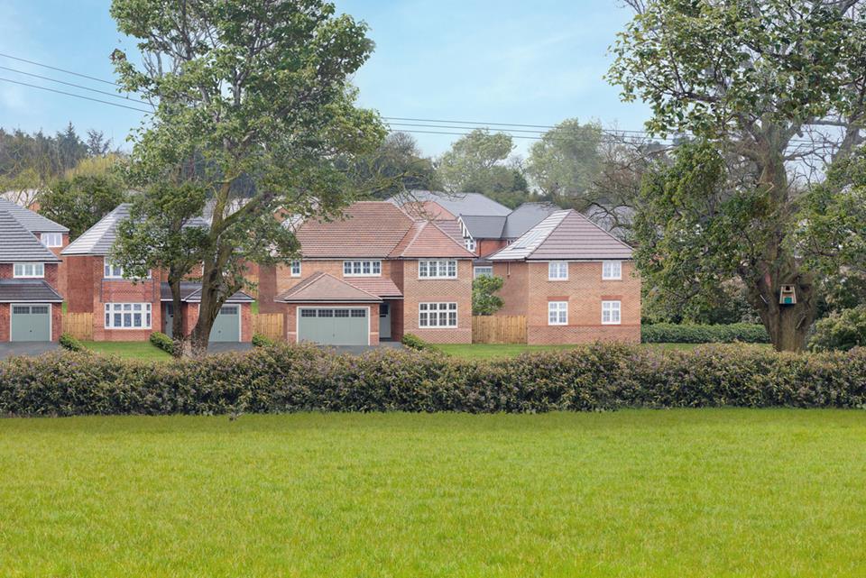 Silverbrook Meadow Webheath