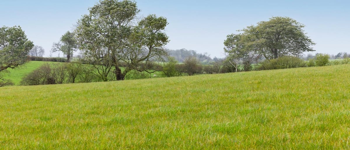 Silverbrook Meadow Webheath