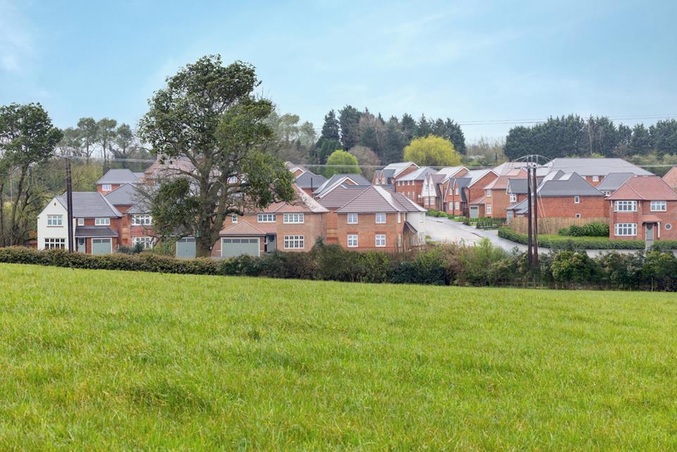Silverbrook Meadow Webheath