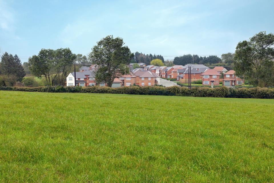 Silverbrook Meadow Webheath