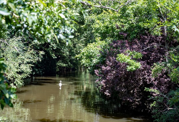 River Walk