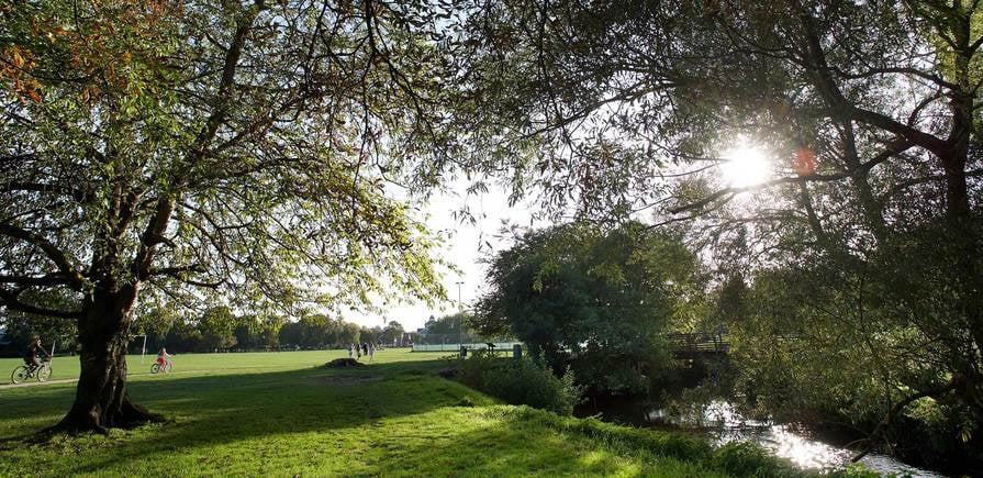 Hertford Locks