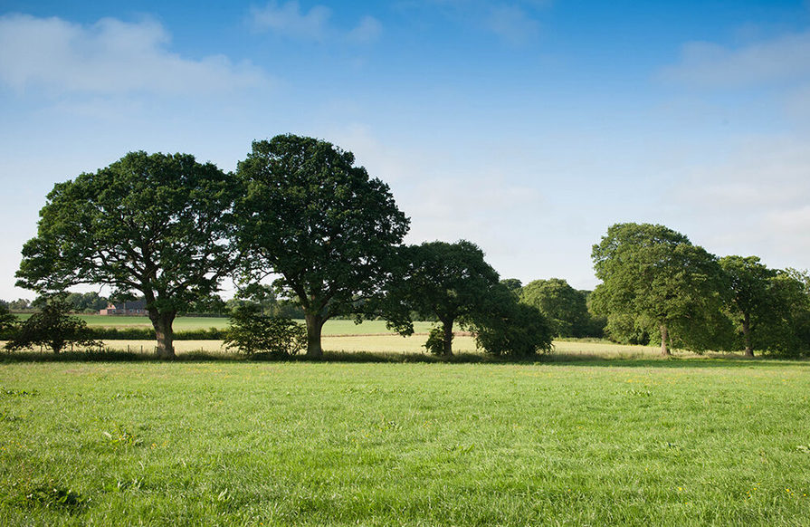 Scotby Grange