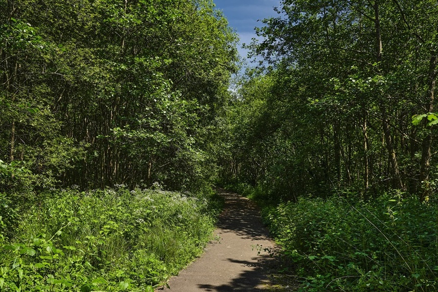 Cwrt Sirhowy