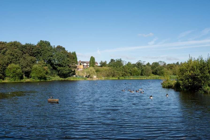 Harts Mead