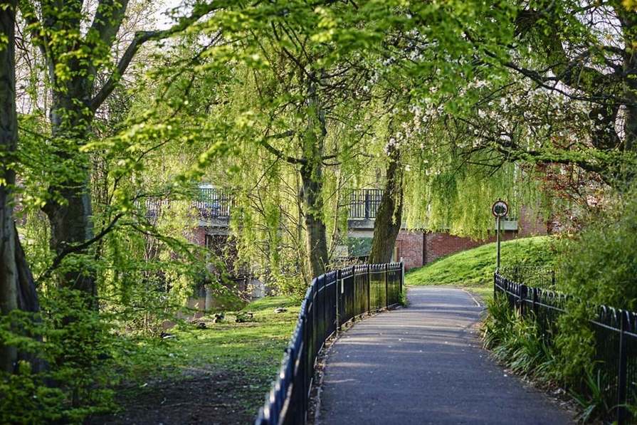 Meadow Green