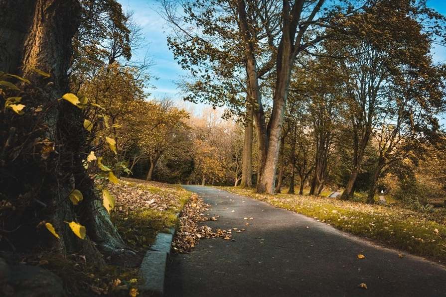 Seaham Garden Village