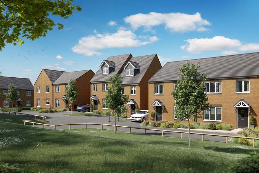 Vision At Meanwood