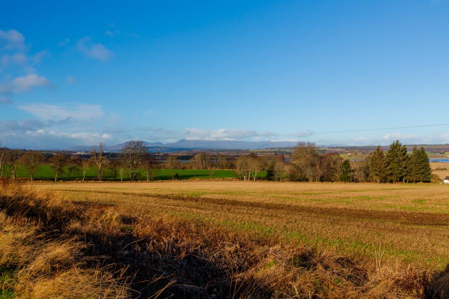 Highland View