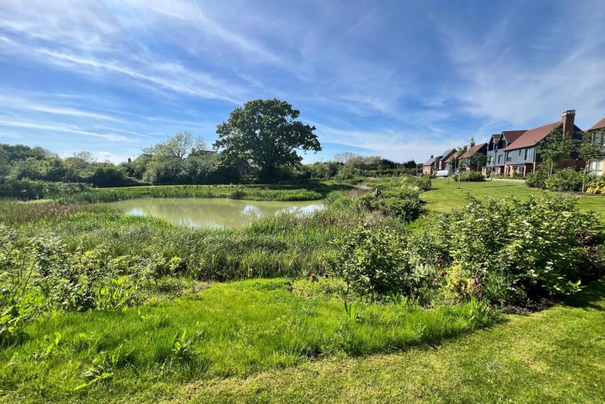 Chilmington Lakes