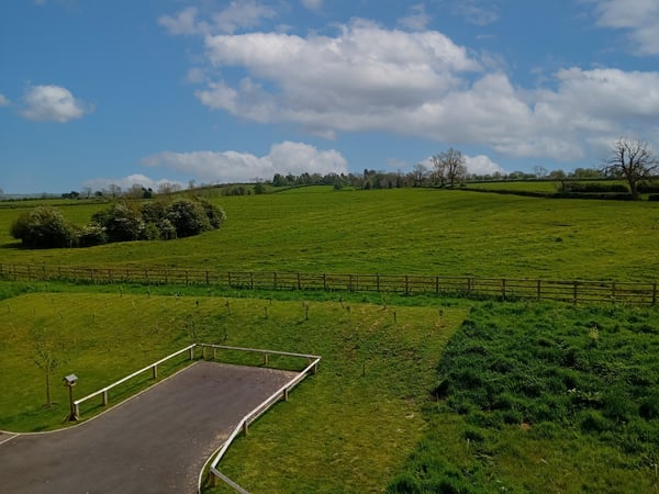 Plot 116 - The Regent - Image 3