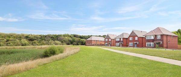 Plot 467 - Sunningdale - Image 3