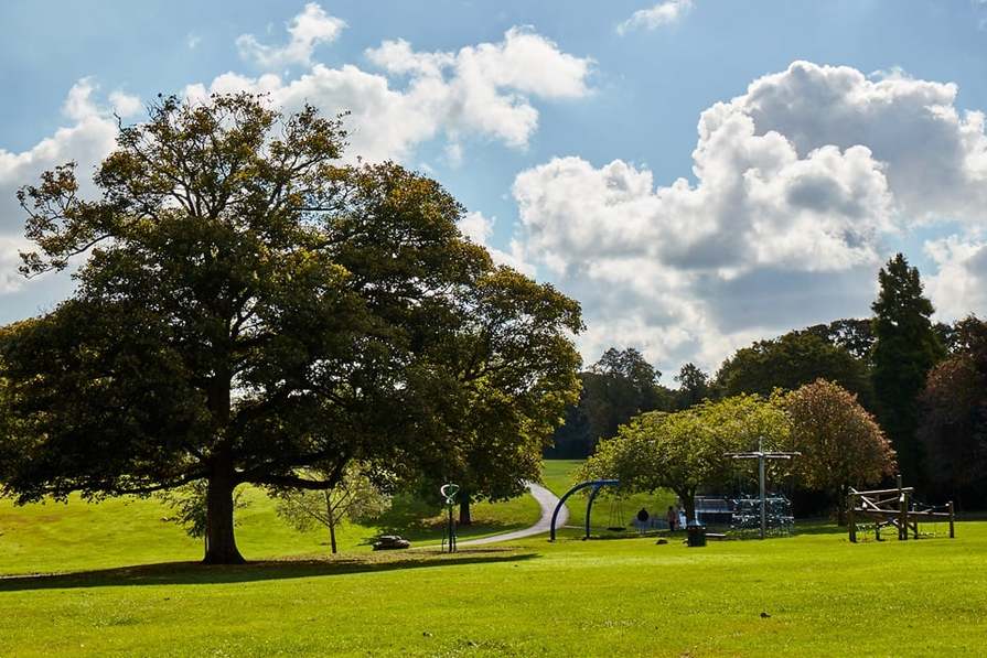 Anderton Green - Image 8