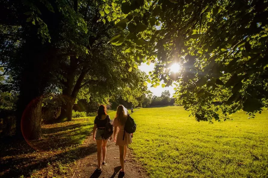 Ashby Fields - Main Image