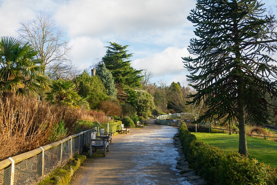 Barratt @ Torrance Park - Image 9