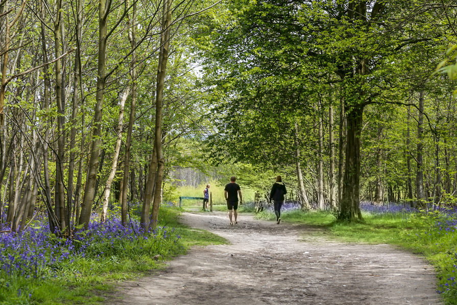 Barratt Homes At Chilmington - Image 7