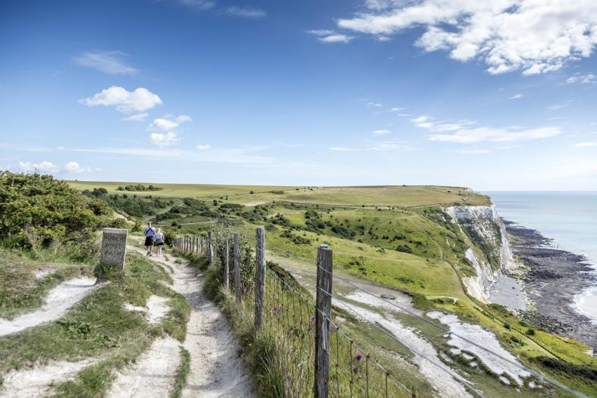 Barratt Homes at Richmond Park - Image 9