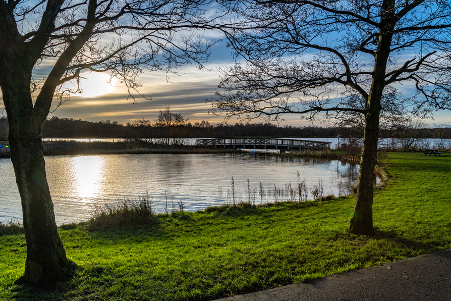 Calder Gardens - Image 10