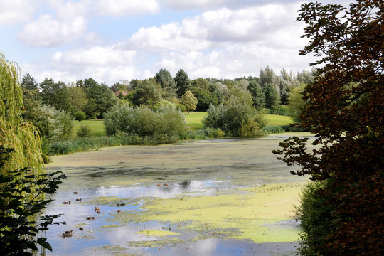 Collingtree Park - Main Image