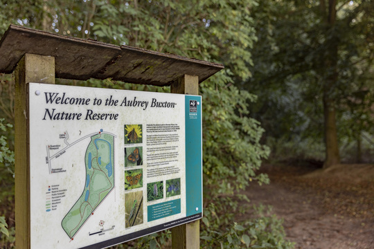 Elsenham Brook - Main Image