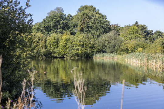 Elsenham Brook - Image 5