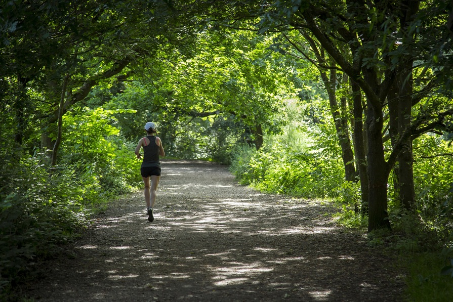 Finchwood Park - Image 9