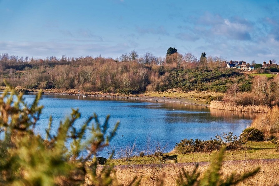 Gresley Meadow - Image 13