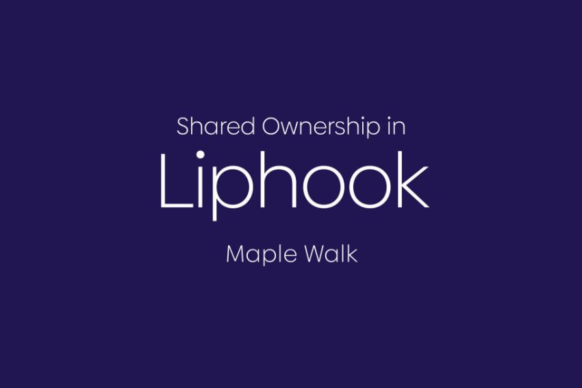 Maple Walk - Main Image