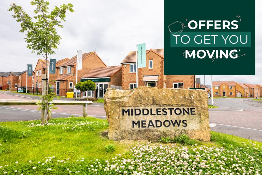 Middlestone Meadows - Main Image