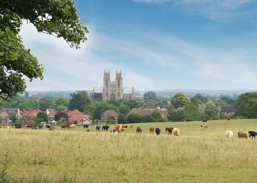 Minster View - Image 10