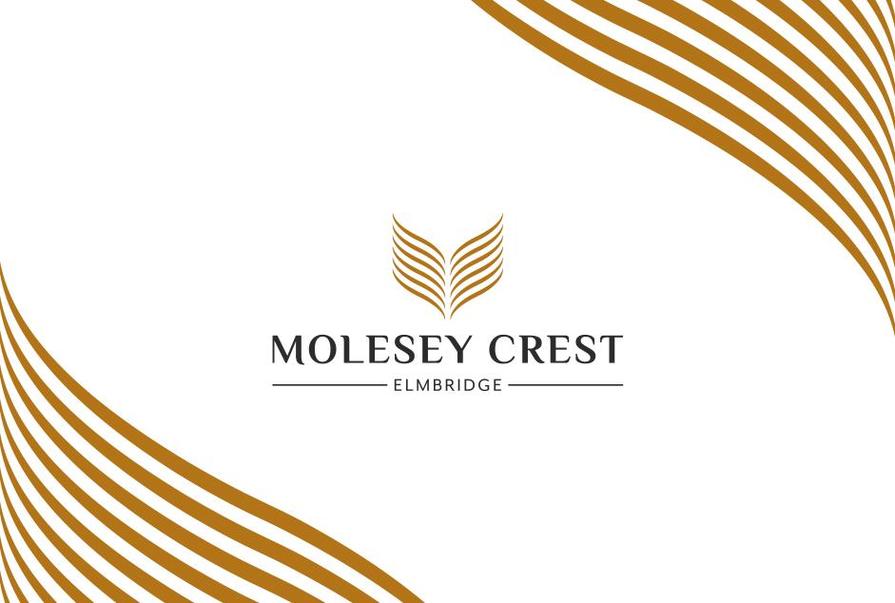 Molesey Crest - Image 7