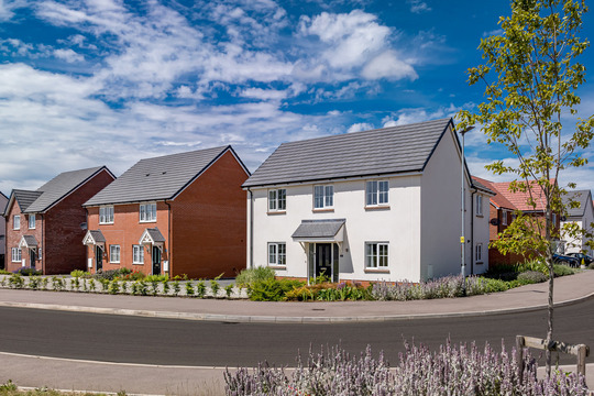 Oak Farm Meadow - Main Image