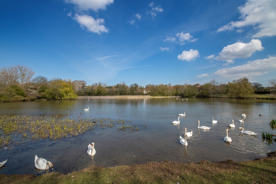 Parish Brook - Image 15