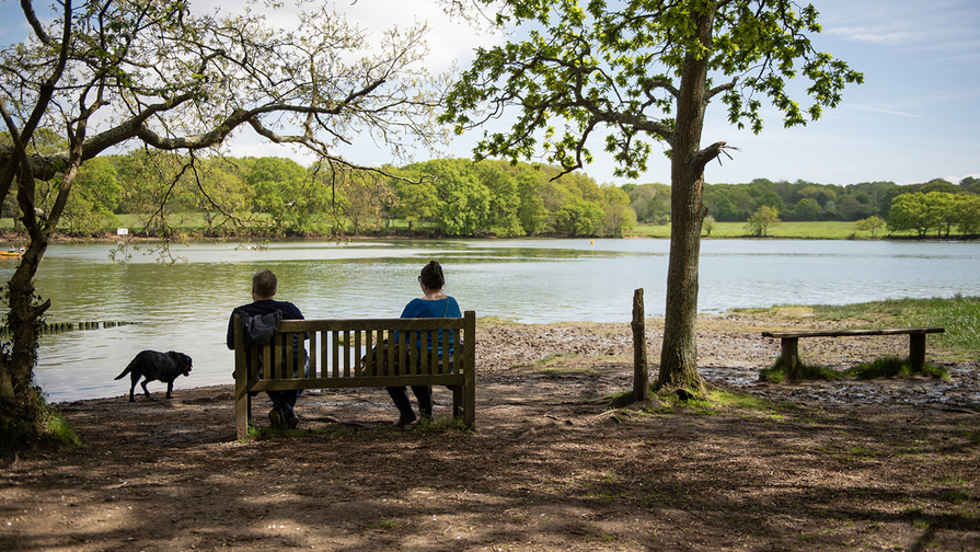 Sherecroft Meadows - Image 11