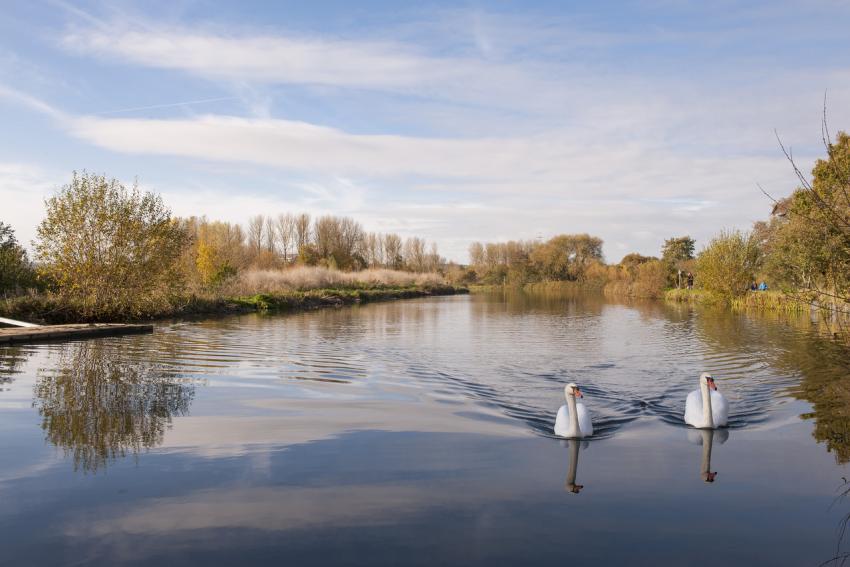 Matford Brook - Image 6