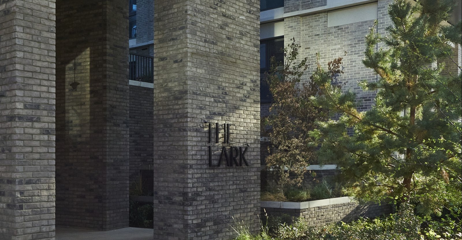 The Lark - Image 11