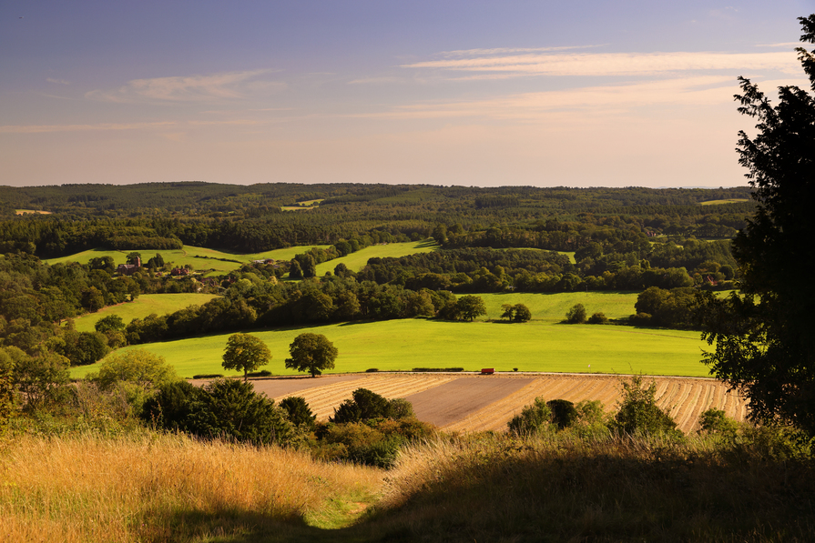 Willowbank Place - Main Image