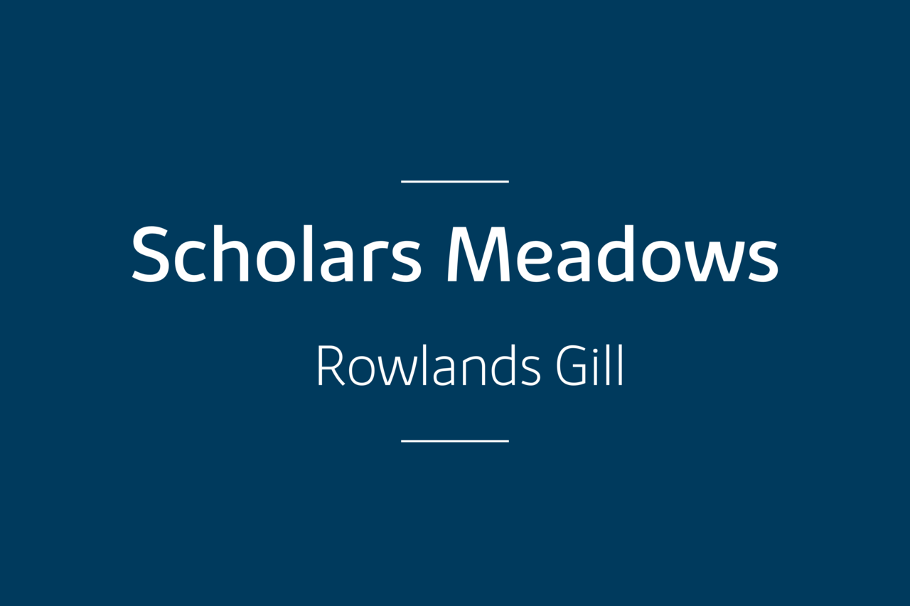 Scholars’ Meadows - Next Image 2