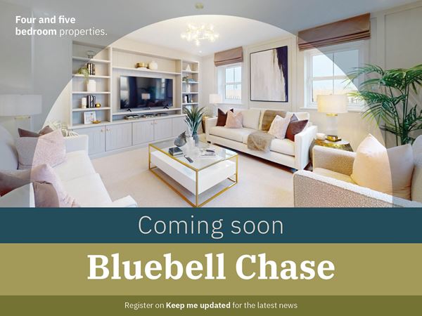 Bluebell Chase - Image 1