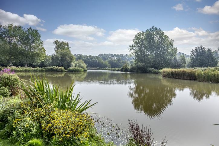 Sholden Meadows - Image 6