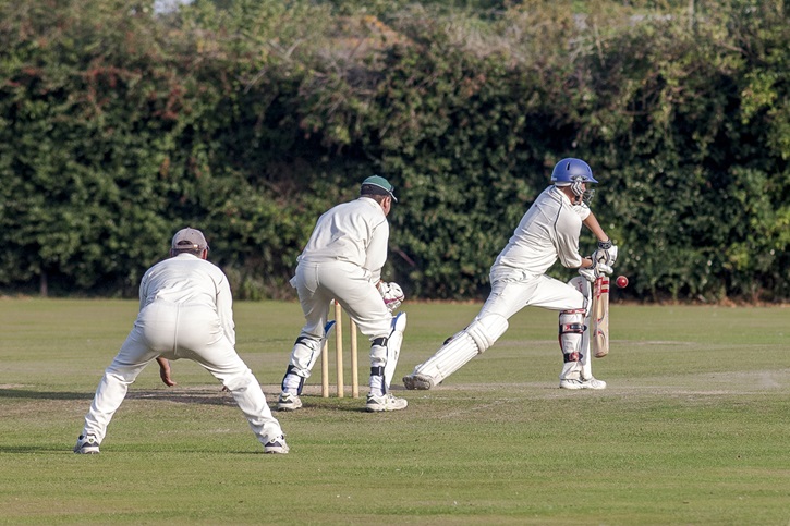 Sholden Meadows - Image 10