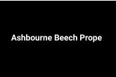 Ashbourne Beech Property